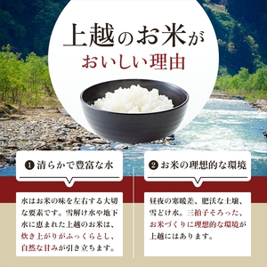 【4月下旬より配送】上越市産 新潟 新之助 5kg 6か月定期便 しんのすけ お米 精米 米 ご飯 定期