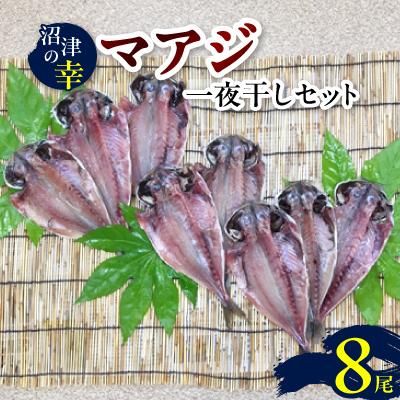 ふるさと納税 沼津市 沼津の幸R一夜干しセット(A)マアジ