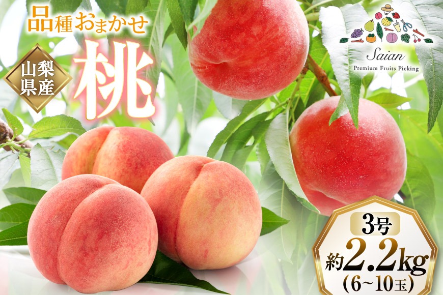 【2026年発送】訳あり 桃 もも 白鳳 or 白桃 3号 約2.2kg (6～10玉) モモ 果物 フルーツ 山梨 期間限定 季節限定 冷蔵 農福連携 [斎庵 山梨県 韮崎市 20745277]