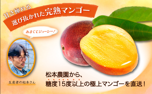 D-125 厳選！濃厚完熟マンゴー 4Lサイズ（糖度15度以上）【2026年5月中旬頃から6月初旬発送】
