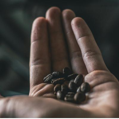 ふるさと納税 筑後市 【発送月固定定期便】ブラジル ブルボンアマレロ(中深煎り)200g×2袋全12回 |  | 03