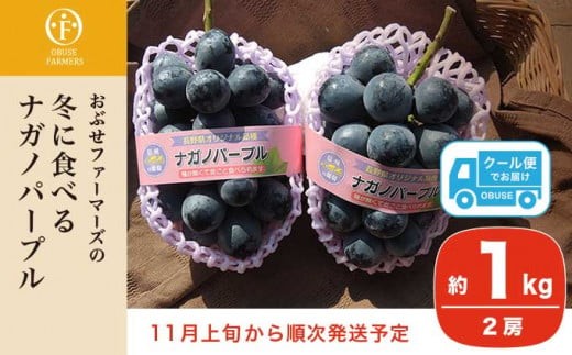 
                  冬に食べるナガノパープル 約1kg 2房 ［おぶせファーマーズ］果物 フルーツ ぶどう 数量限定 令和8年産【2026年11月上旬～順次出荷】［F-536］
                