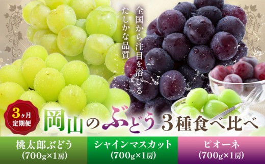 【2026年発送先行予約】ぶどう 3ヶ月 定期便 岡山 の ぶどう 3種 食べ比べ 各700g 計2.1kg 晴れの国おかやま館(漂流岡山)《2026年8月中旬-10月中旬頃出荷》岡山県 笠岡市 桃太郎ぶどう シャインマスカット ピオーネ 果物 フルーツ 送料無料【配送不可地域あり】（離島）