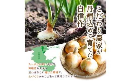和歌山県産新玉ねぎ約10kg　Lサイズ 約25個入り　こだわり農家厳選！【2026年4月末頃～6月中旬に発送予定】人気 おすすめ たまねぎ 玉ねぎ 玉葱 タマネギ オニオン スープ サラダ 国産 野菜