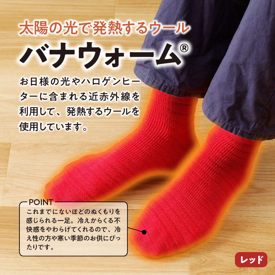 光吸収発熱ウール「ウォームファーム ボーダー柄靴下」（チャコールグレー）