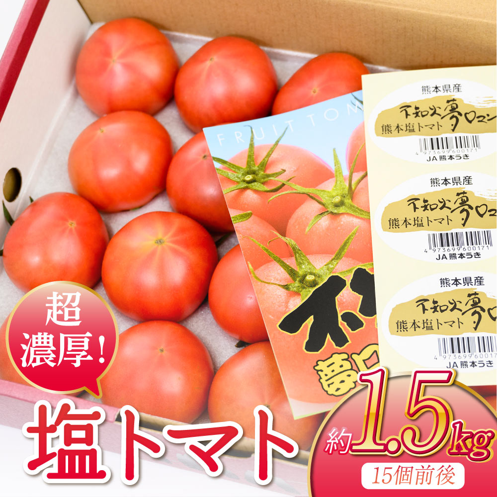 【ふるさと納税】超濃厚！宇城市産 塩トマト 約1.5kg しんたのトマト農園 【6月下旬までに発送予定】