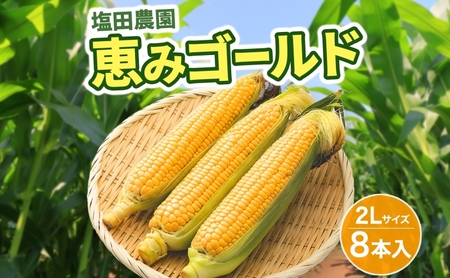 とうもろこし 恵味ゴールド 8本 2L 朝採り とうもろこし