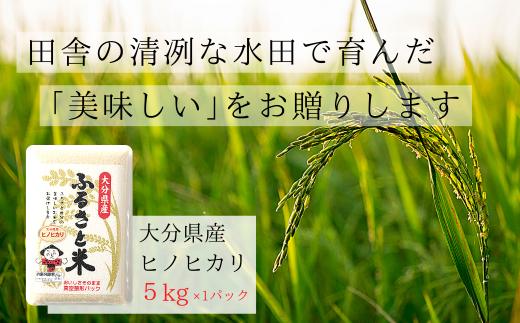 大分県産ひのひかり(5kg)米 お米 ひのひかり ヒノヒカリ 白米 真空パック 大分県産【107800100】【お米の鈴木】