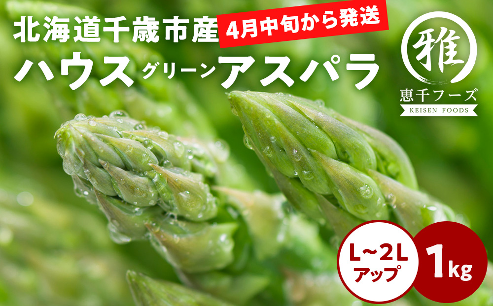 【2027年春発送】 ハウスグリーンアスパラ 1? L〜2Lアップ