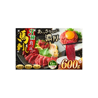 ふるさと納税 伊那市 【6ヶ月定期便】馬刺し 3種食べ比べ約600g( 上赤身 ・ 霜降り・ユッケ 各約200g )