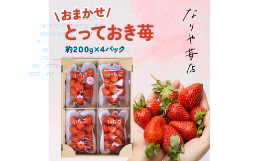 MI-03　とっておき苺【約200g×4パック】