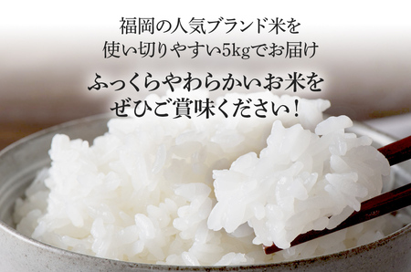 令和5年産　福岡県産ブランド米「夢つくし」白米　5kg