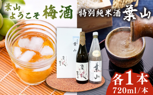 特別純米酒「葉山」＆葉山ようこそ梅酒セット / お酒 梅酒 うめ酒 特別純米酒 純米酒 葉山 葉山ようこそ 神奈川県 葉山町 セット【リカーズかさはら】 [ASBB003]