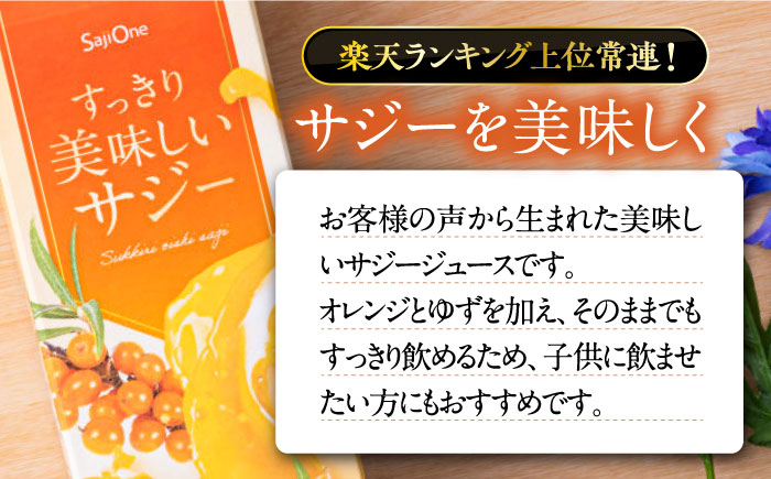 【全3回定期便】家族みんなでおいしく飲める！ すっきり美味しい サジー 6本 《豊前市》【ハウスボトラーズ】 [VAX048]