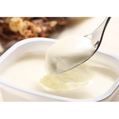 草原のヨーグルト でーでーぽっぽ プレーン 1kg×2個【配送不可地域：離島】【1720241】