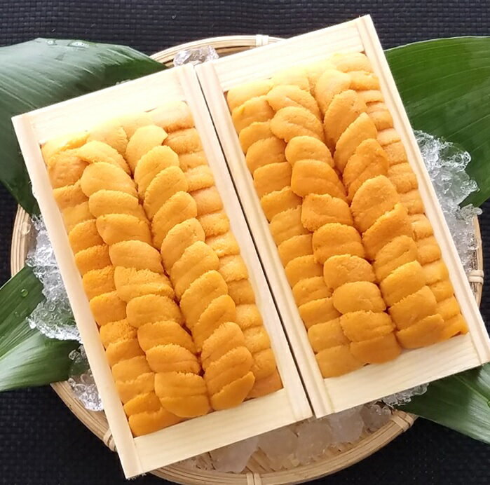 【ふるさと納税】エゾバフンウニ 140g [2026年2月下旬以降] 選べる 2 折 ～ 4 折うに ウニ 雲丹 バフンウニ エゾバフンうに えぞばふんうに 蝦夷バウンウニ 蝦夷ばふんうに お取り寄せ グルメ 海鮮 折詰 北海道 根室市 ふるさと納税