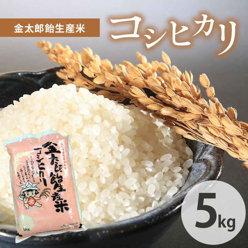 【ふるさと納税】 令和7年産 米 金太郎飴生産米 コシヒカリ 5kg 山口美祢産 ｜ 令和7年度 米 白米 山口 美祢市 美祢 特産品 コシヒカリ 美祢産 秋吉台