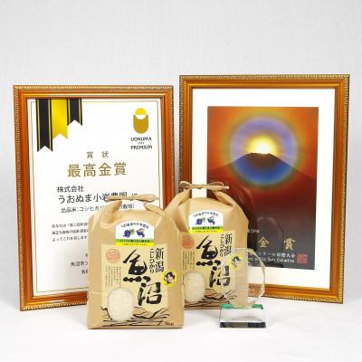 ふるさと納税 魚沼市 令和7年産　ツバメの飛び交う棚田米　精米6kg(3kg×2袋)