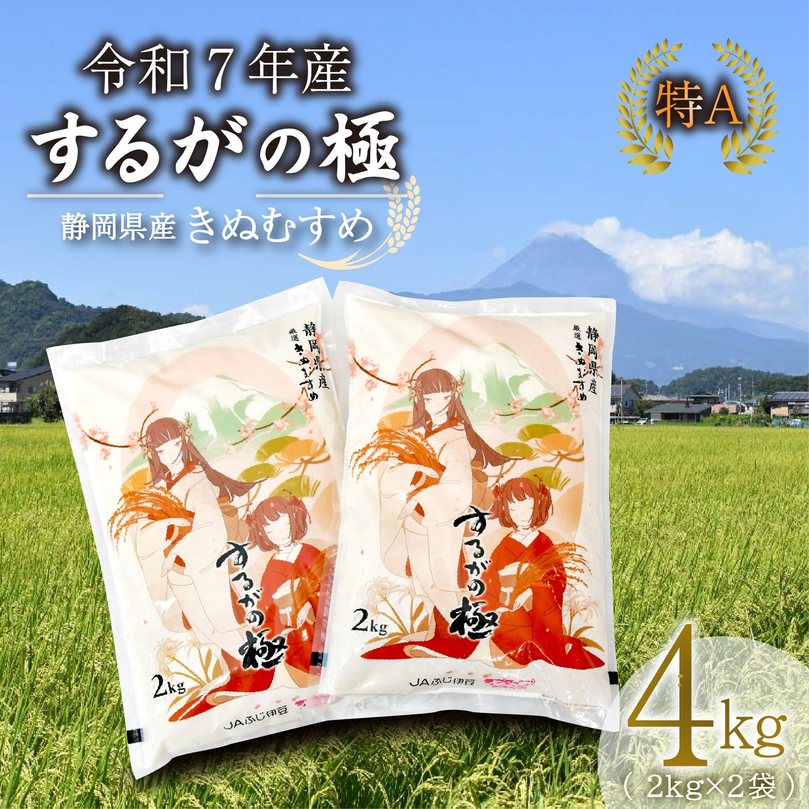 
                  【北海道・沖縄・離島配送専用ページ】【令和7年産米】 するがの極 4kg 2kg × 2袋 特A ラブライブ！サンシャイン!! デザイン 米 こめ お米 白米 精米 ご飯 おにぎり 弁当 JA ブランド米 きぬむすめ 長泉町 静岡 静岡県産
                