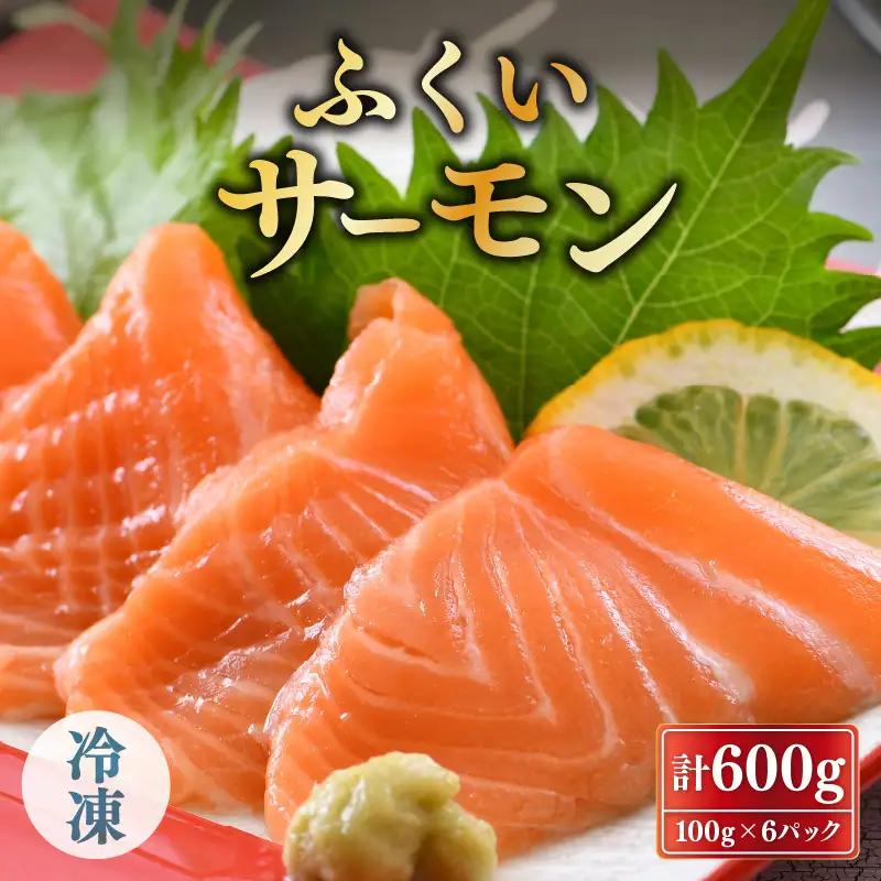 ふくいサーモン合計 600g（刺身用）100g×6パック【サーモン 鮭 刺身 さけ サケ 小分け お刺身用 生食用 生食可 国産】 [B-6209]