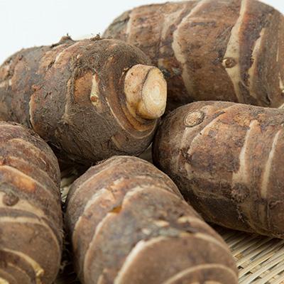 ふるさと納税 磐田市 磐田特産海老芋　約3kg |  | 01