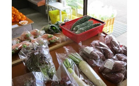 0D-101A  有機JASさつまいも（10kg/訳あり/S～Lサイズ）