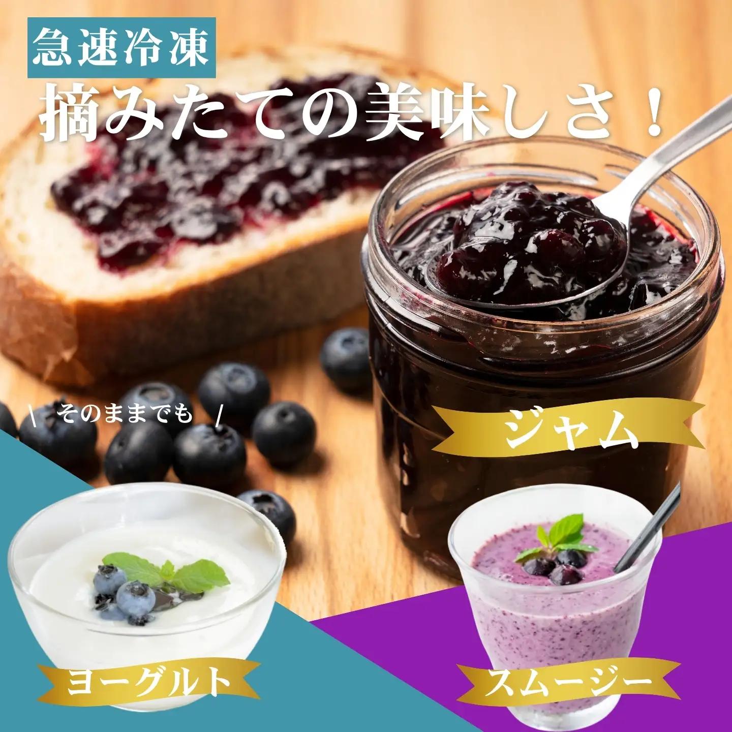 [A562-01]【訳あり】冷凍ブルーベリー500ｇ（500g×1パック）2026年シルクファーム産