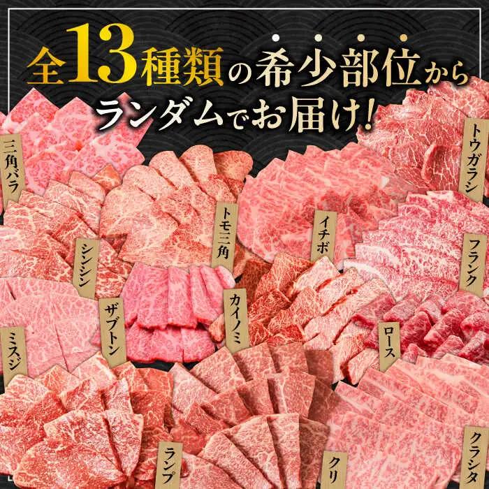 【全12回定期便】A4 A5 豪華 佐賀牛 ゴールドコース 総量15.2kg [FAY040]