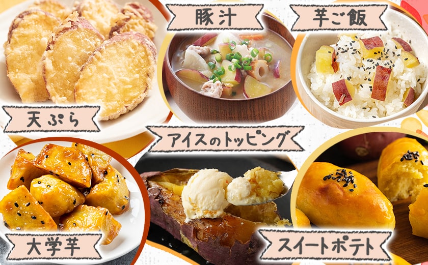 都城産 長期熟成紅はるか 5kg〔AA-I2-001-5kg〕
