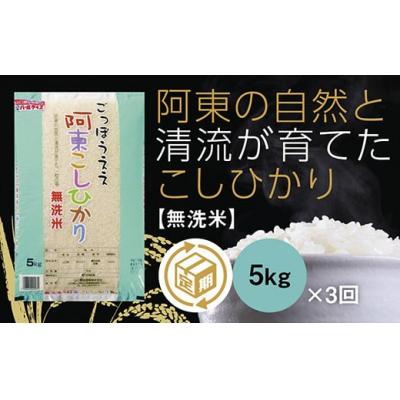 ふるさと納税 山口市 阿東こしひかり(無洗米5キログラム)3か月定期便 B106