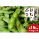 【ふるさと納税】【2024年先行予約】新潟県産 朝採り 茶豆 約1.5kg《8月中旬～順次発送》 | 野菜 やさい 食品 人気 おすすめ 送料無料