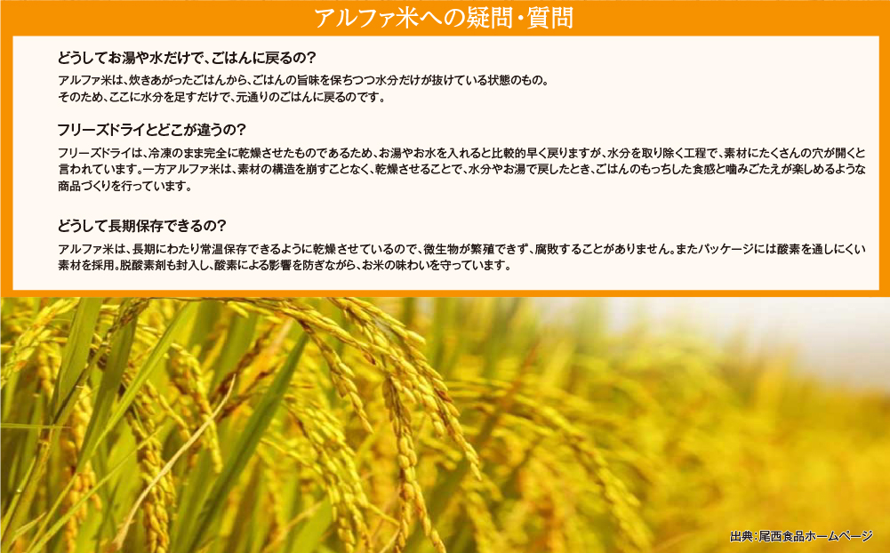 備えて安心、食べて満足｜尾西の携帯おにぎり 鮭【50個入り】（非常食・保存食・キャンプにも） 非常食 保存食 防災グッズ 防災 アルファ米 長期保存 おにぎり 尾西食品 キャンプ アウトドア 登山 ふ