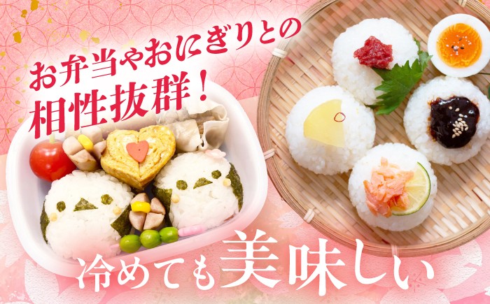 なつほのか 白米 5kg / 長崎県 波佐見町 米 お米 白米 精米
