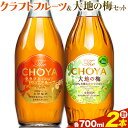 【ふるさと納税】THE CHOYA CRAFT FRUIT 大地の梅 各 700ml × 2本 セット 飲み比べ 羽曳野商工振興株式会社《30日以内に出荷予定(土日祝除く)》大阪府 羽曳野市 送料無料 梅酒 梅 酒 CHOYA チョーヤ チョーヤ梅酒 お酒 クラフトフルーツ クラフト 大地の梅