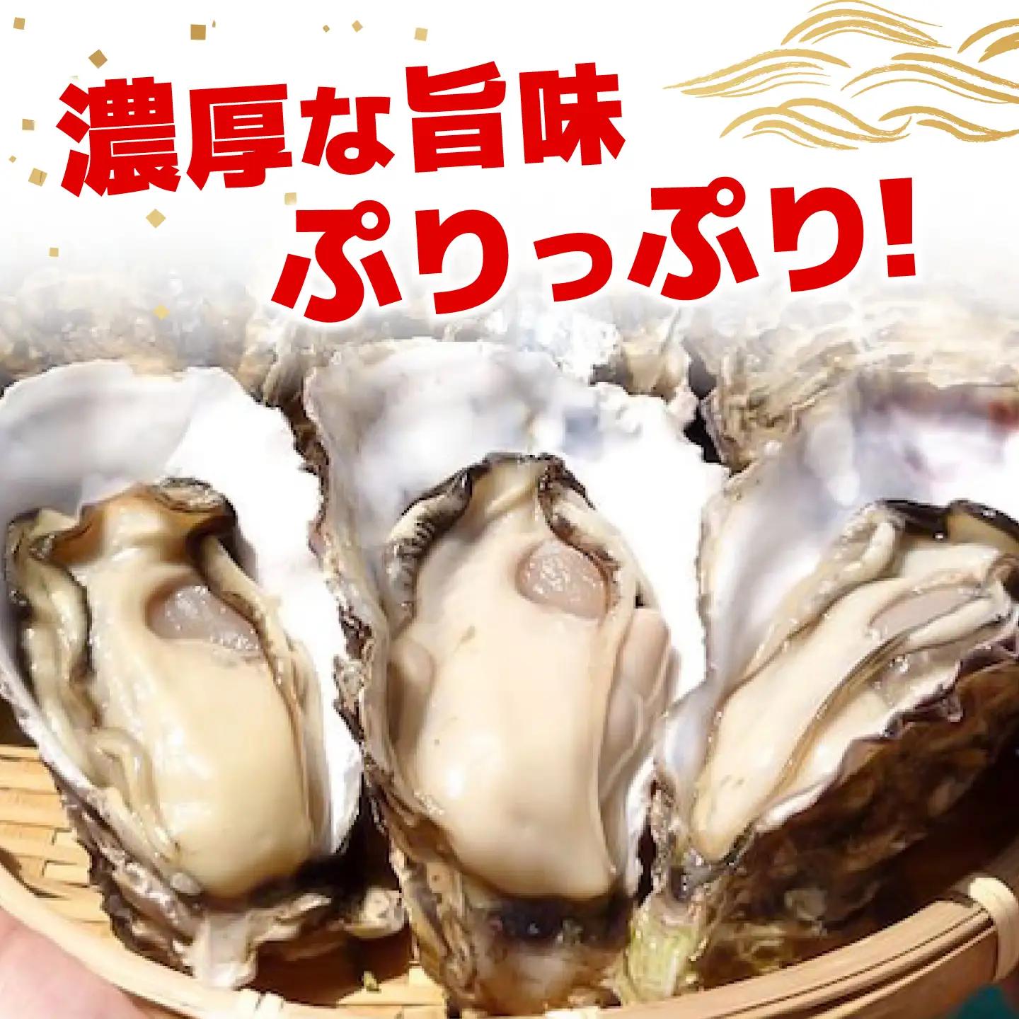 冷凍牡蠣 殻付き 1kg [XAO064]
