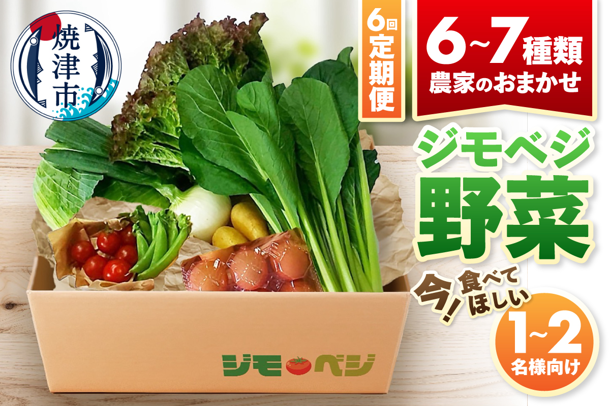 a45-014　【定期便 全6回】ジモベジ 野菜 ハーフセット