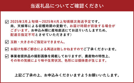 宇城市産 不知火 約5kg（15～22玉）【高岡農園】【2025年3月上旬～2025年4月上旬発送予定】不知火 デコポン 柑橘 果物 フルーツ 完熟