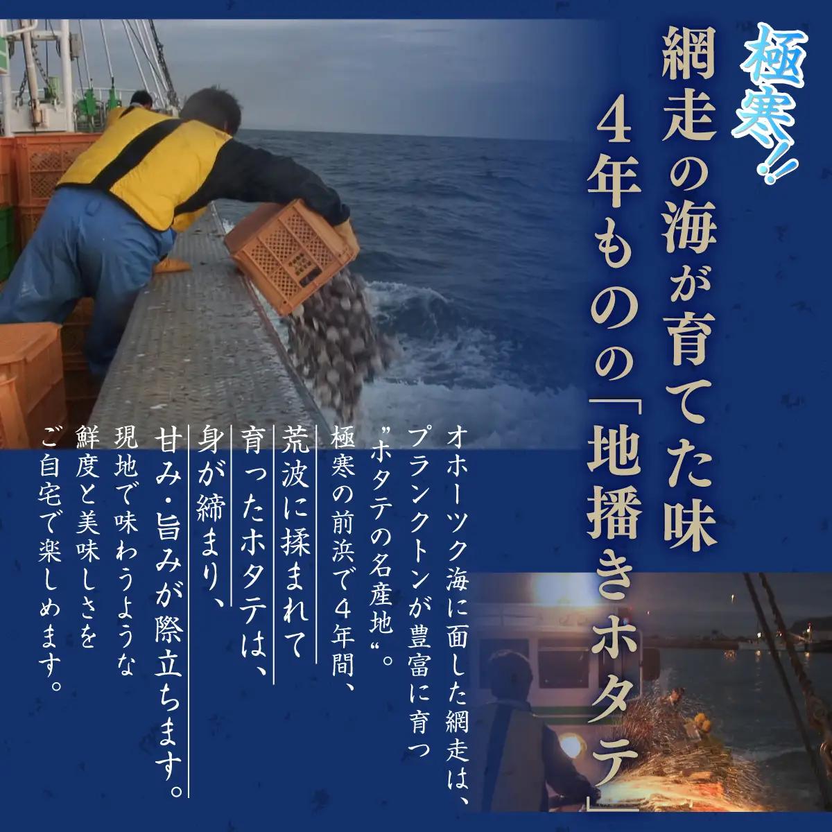 網走前浜産 無添加ホタテ貝柱【 300g (300g×1 】 ABAI043 | ホタテ