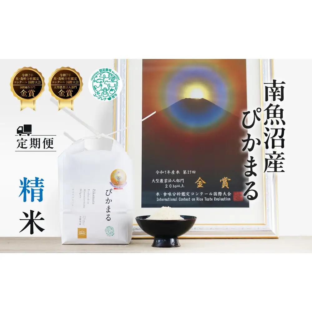 定期便【令和8年新米予約】精米5kg×6回 南魚沼産ぴかまる 金賞受賞（米・食味分析鑑定コンクール）＜6ヶ月定期便＞農家直送_AG【令和8年11月上旬から1ヶ月以内に順次発送予定】| 新米