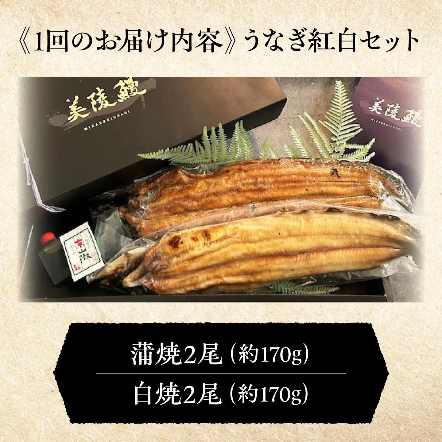 【全12回定期便】 鰻 美陵鰻の蒲焼2尾×白焼2尾 紅白セット / 美陵鰻 鰻 うなぎ ウナギ 蒲焼 蒲焼き 白焼き 白焼 肉厚 うな重 うな丼 惣菜 おかず 山椒 国産 土用 丑の日 土用の丑の日 