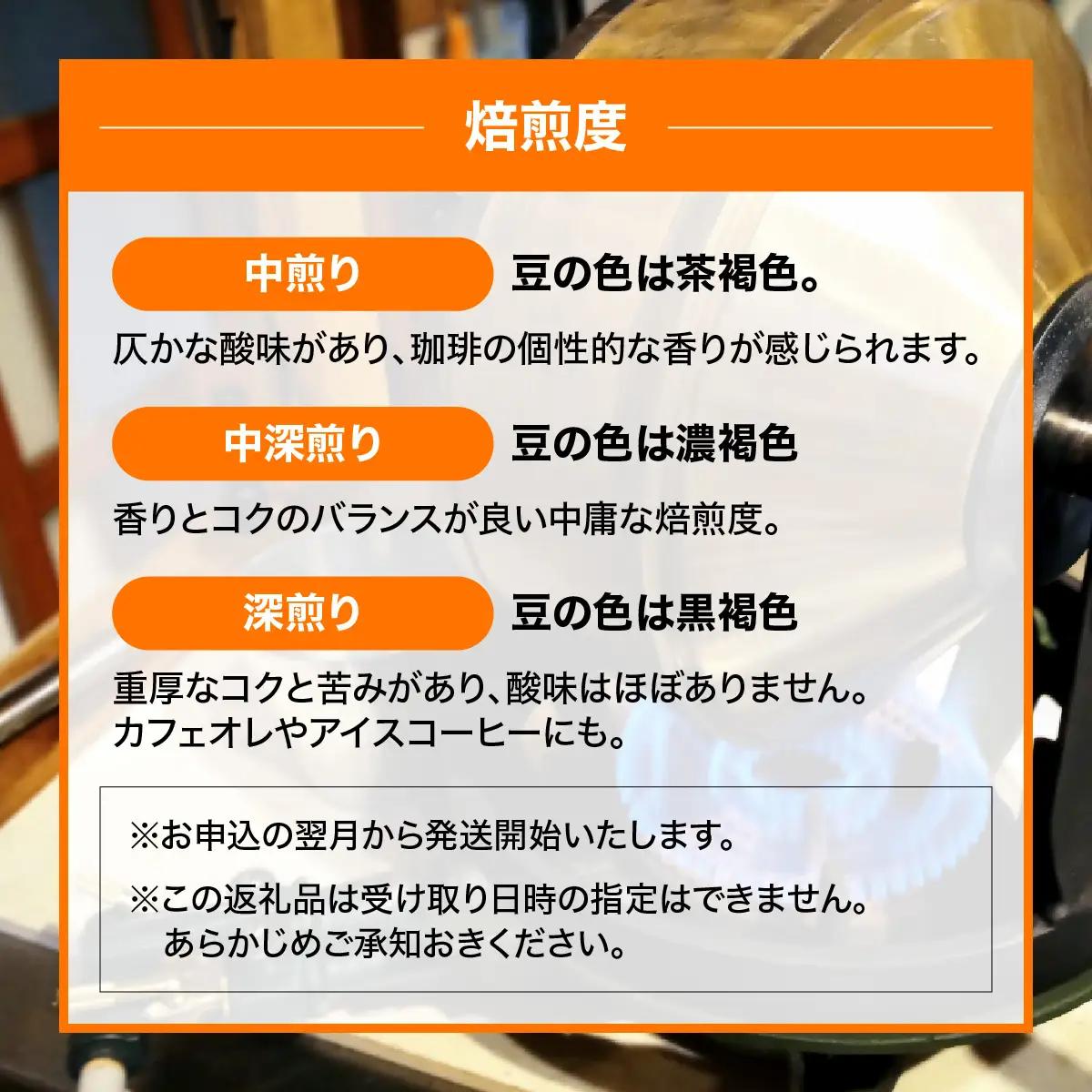 【定期便】【粉にする】やまびより珈琲【珈琲豆100g 2袋×3か月分】 飲み比べ 2種類  HNNAF009