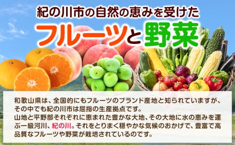 紀の川市の恵み旬のフルーツ＆野菜セット計8～10品《30日以内に出荷予定(土日祝除く)》桃梅みかん新玉ねぎなすトマトキャベツ---wfn_cvegeset5_30d_23_13000_8_10s---