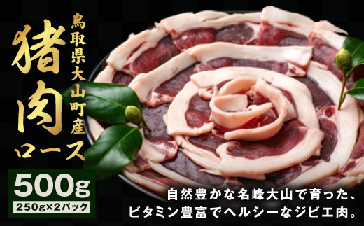 
GB-09　猪肉　ロース　500g（250g×2パック）
