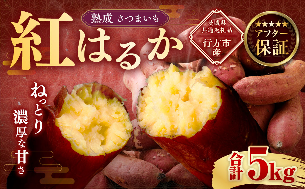 “熟成” 茨城県産 さつまいも 【 紅はるか 】 約5kg （茨城県共通返礼品・行方市産） 芋 いも サツマイモ 野菜 やさい 国産