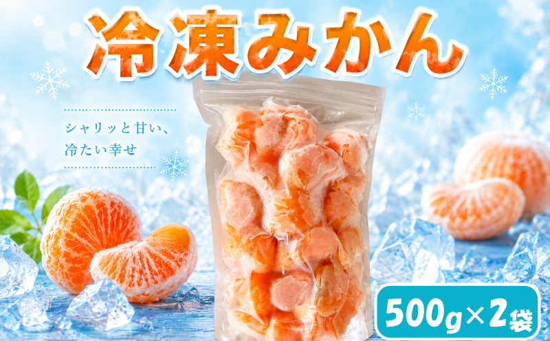 愛媛 冷凍みかん 2袋 (500g×2袋) | 冷凍みかん 愛媛みかん  みかん 柑橘 アイス シャーベット mikan 蜜柑 れいとうみかん デザート スイーツ 果物 フルーツ かんきつ 冷凍 加工品 あいす おやつ グルメ 送料無料 お取り寄せ 国産 愛媛県 松山市 みかん職人武田屋