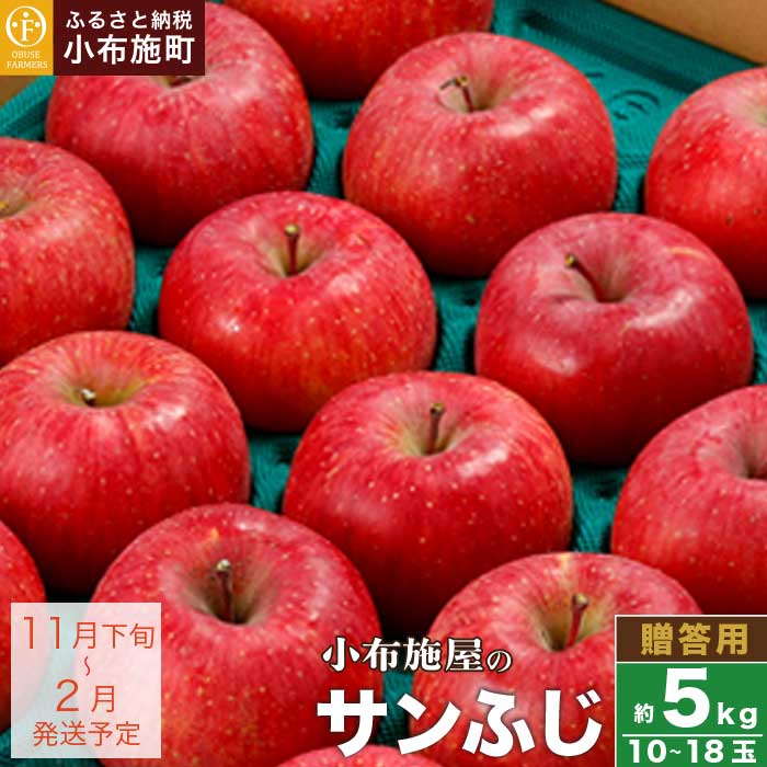 【ふるさと納税】 サンふじ 贈答用 約5kg 10～18玉 ［小布施屋］ りんご 林檎 リンゴ 果物 フルーツ 長野県産 信州産 特産 産地直送 産直 数量限定 ギフト 令和7年産 【2025年11月下旬～2026年2月発送】
