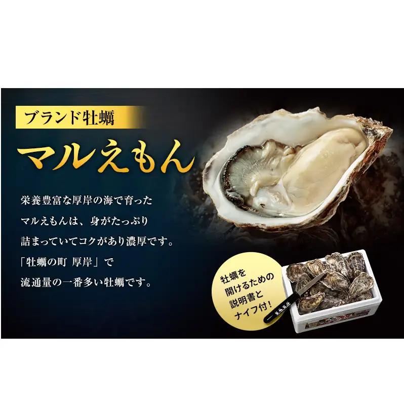 9月配送 訳あり 牡蠣 北海道厚岸産 殻付カキ 約4kg (25から50個) カキナイフ付 生食 生牡蠣 貝付き牡蠣 貝 海鮮 魚介類 殻付き牡蠣 マルえもん