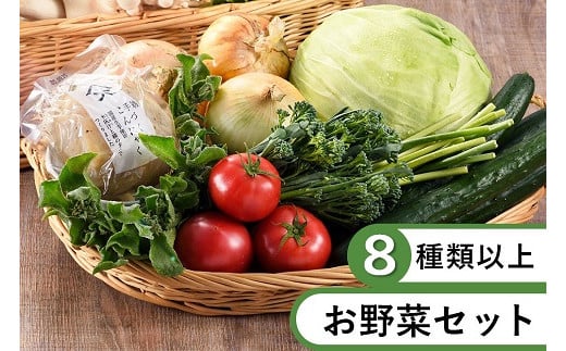 
本日のお野菜セット(Sサイズ)（53-36）
