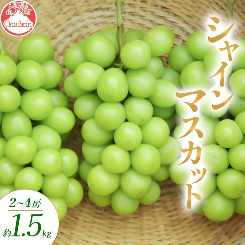 シャインマスカット 2～4房 約1.5kg ぶどう ブドウ 葡萄 マスカット 果物 フルーツ 長野県 長野 山ノ内町