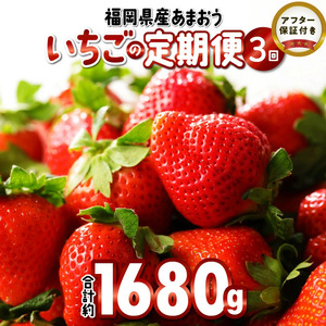 【2027年2月より順次発送】『いちごの定期便』福岡県産　あまおう　合計約1680g（約280g×2パックを2月3月4月の3回）_ いちご 果物 フルーツ 〔Fi051〕